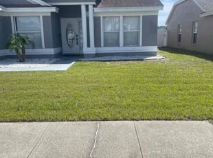 Beatriz C.'s lawn service service result