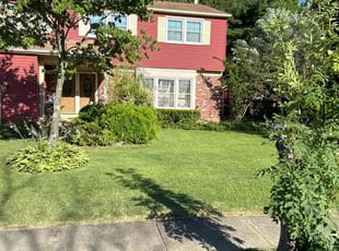 Shirley O.'s grass cutting service result