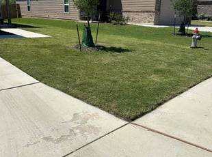 James F.'s lawn maintenance service result