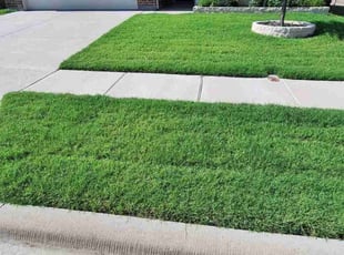 John A.'s grass maintenance service result