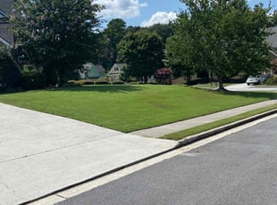 Gisane V.'s turf maintenance service result