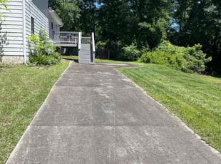 Melissa D.'s grass maintenance service result