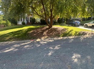 Kenneth B.'s grass maintenance service result