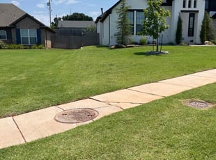 Victor M.'s lawn maintenance service result