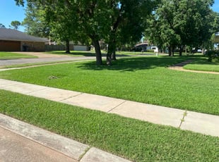 Jerry K.'s grass maintenance service result