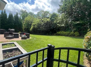 Kyle D.'s turf care service result