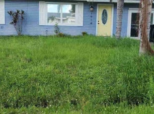 Kyle E.'s Long Grass Cleanup service result