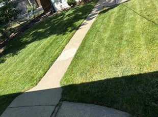 Victoria P.'s turf maintenance service result