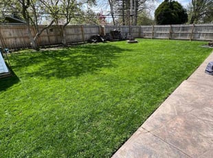 Tracy D.'s lawn maintenance service result