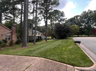 Bobbi G.'s yard maintenance service result