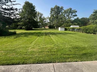 Brittany F.'s grass cutting service result