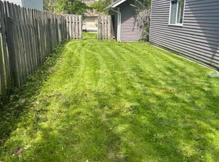 Thomas B.'s lawn maintenance service result