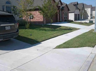 Thomas L.'s turf care service result