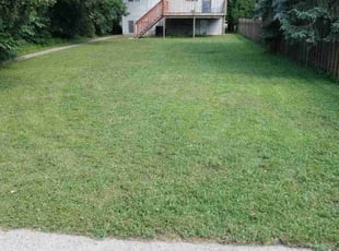 Abi M.'s grass maintenance service result
