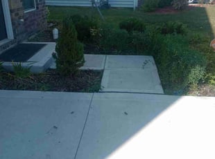 Joseph M.'s Bush Trimming service result
