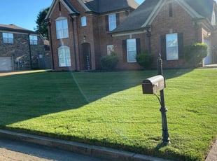 Michael D.'s lawn care service result