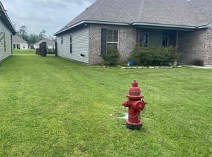 Shaisha P.'s yard care service result