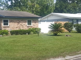 Anita P.'s Bush Trimming service result