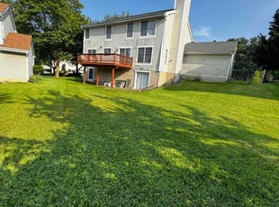 Marie R.'s lawn care service result