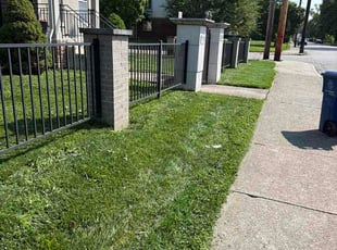 Eric P.'s turf maintenance service result
