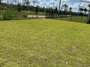 Makalyn S.'s grass maintenance service result
