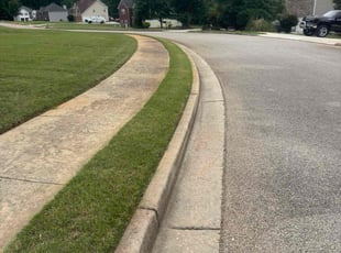 Rhonda H.'s lawn service service result