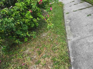 Kristen L.'s lawn maintenance service result