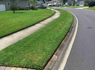 Renee H.'s turf care service result