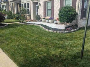 Angela C.'s turf maintenance service result