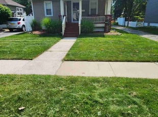 David A.'s lawn care services service result