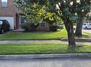 Jennifer J.'s lawn care service result