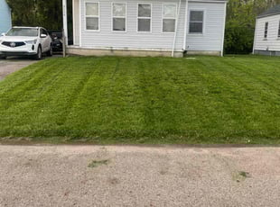 Richard Z.'s lawn care service result
