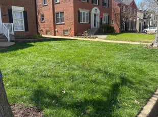 John A.'s Leaf Removal service result
