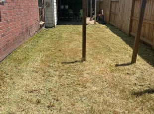 Joe C.'s Bush Trimming service result