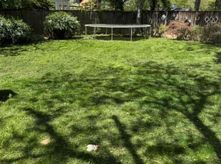 Brian M.'s lawn service service result