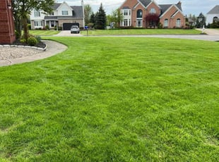 Alexander P.'s lawn care services service result