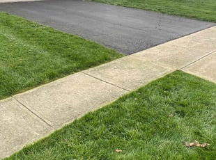 Bri G.'s lawn service service result