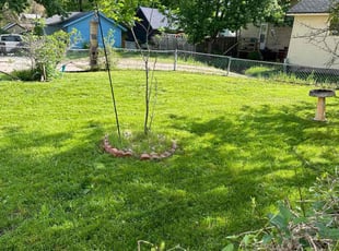 Janene O.'s grass maintenance service result