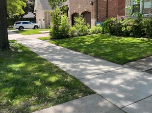 Ramon G.'s grass cutting service result