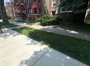 Joseph A.'s lawn maintenance service result