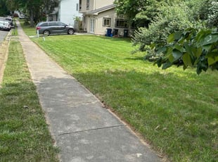 Jonathan K.'s yard care service result