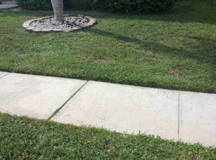 Linda S.'s lawn service service result