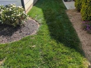 Kevin H.'s lawn maintenance service result