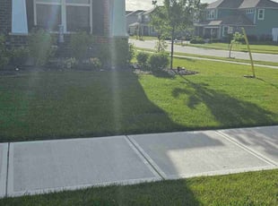 Robert C.'s turf maintenance service result