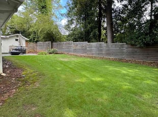 Esmie B.'s turf care service result