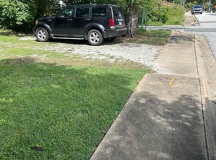 Dalisay H.'s lawn maintenance service result