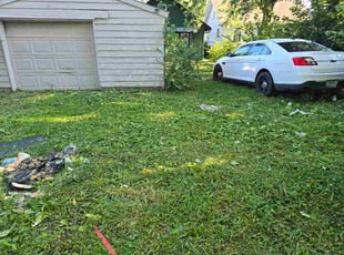 Anneta D.'s grass maintenance service result