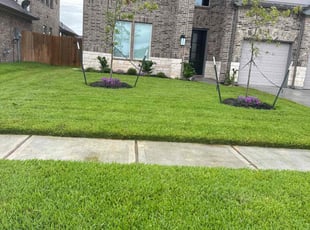 Shirly P.'s grass cutting service result