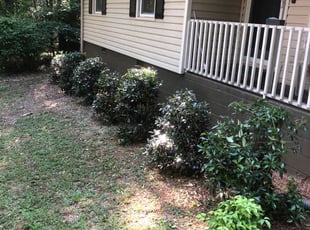 Bryce G.'s Bush Trimming service result