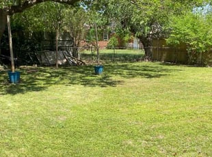 Freddie S.'s lawn service service result